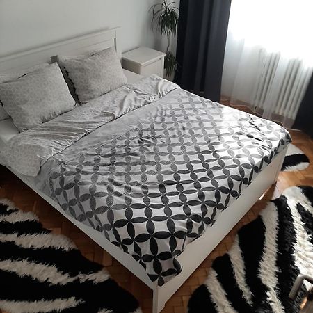 Mari&Vio Apartment Kolozsvár Kültér fotó