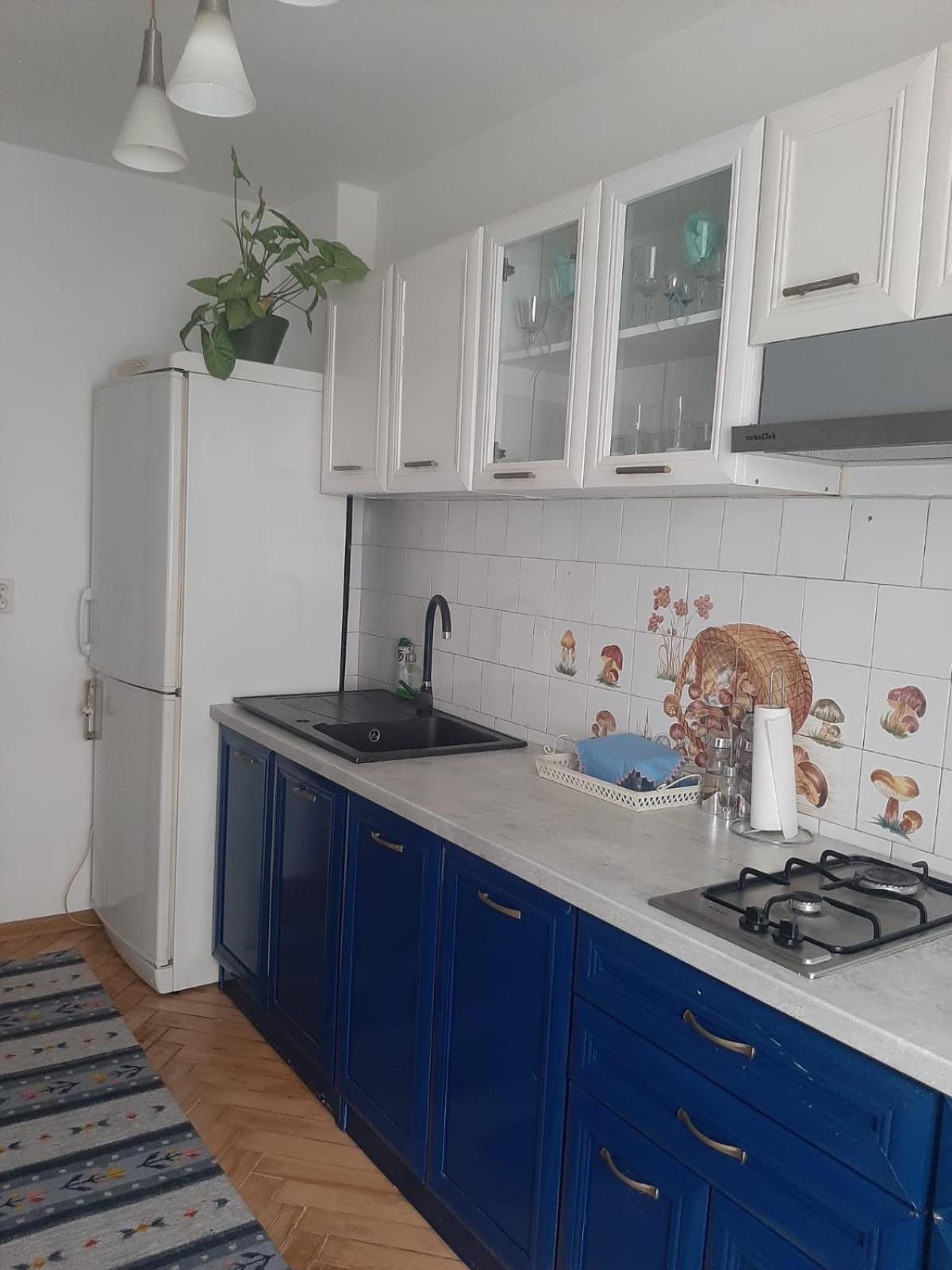 Mari&Vio Apartment Kolozsvár Kültér fotó
